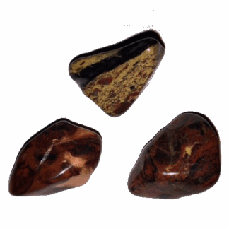Gem Stones:  Brecciated Jasper - Animal Healing
