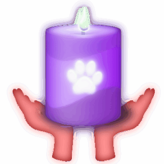 Reiki:  In-Person Session for Pet Loss