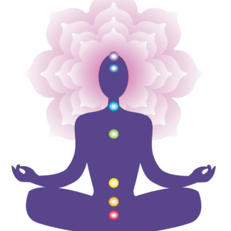 Reiki:  In-Person Session